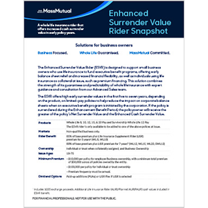 ESVR Snapshot Thumbnail