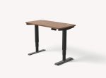 HomePro standing desk