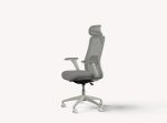 SitOne ergonomic chair